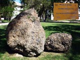 jardin de rocas universidad de alicante